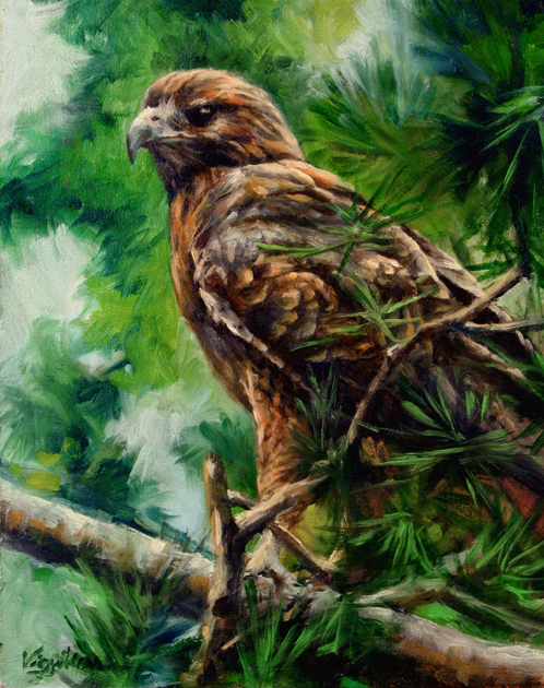 Wildlife Art Bird Portrait
