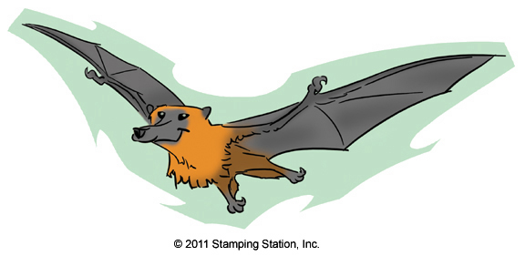 "Wildlife Art Cartoon Drawing"