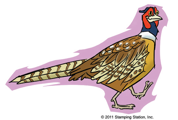 "Wildlife Art Cartoon Drawing"