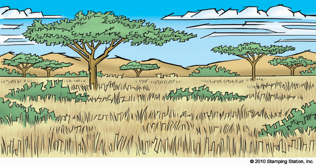 "Color Cartoon African Landscape Drawing"