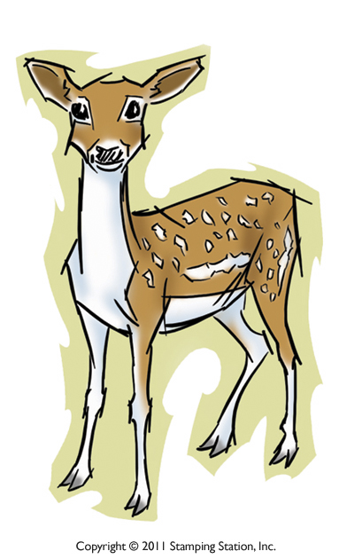 Fallow-Deer-Art-Drawing9