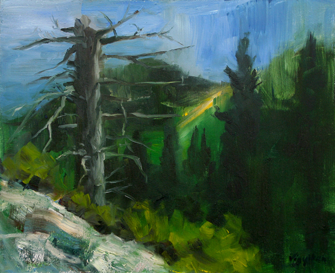 American Rocky Mountain Impressionist Landscape Art