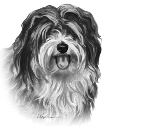 "Dog Head Portrait Painting"