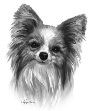 Papillon Photoshop Art Drawing Sample "Dog Head Portrait Painting"