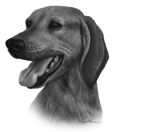 "Dog Head Portrait Painting"