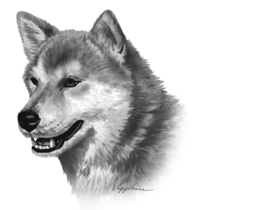 "Dog Head Portrait Painting"