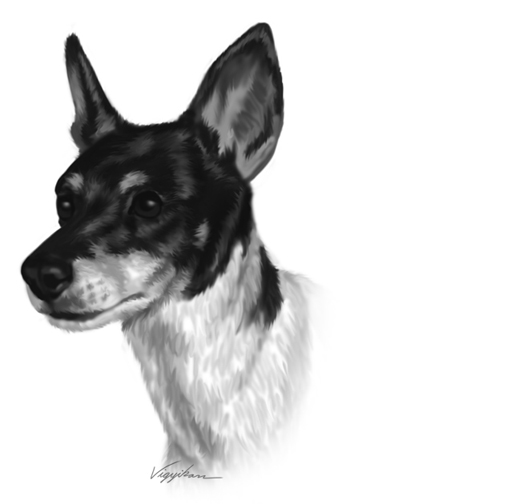 "Dog Head Portrait Painting"