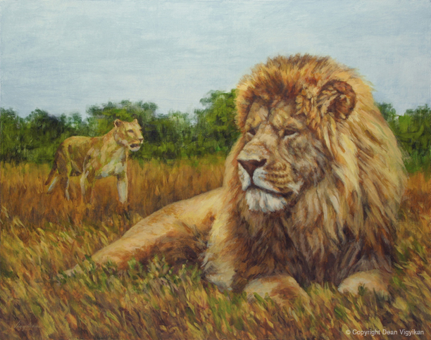 wildlife art, acrylic, savannah, lion, lioness, fur, mane, animal, big cat, predator