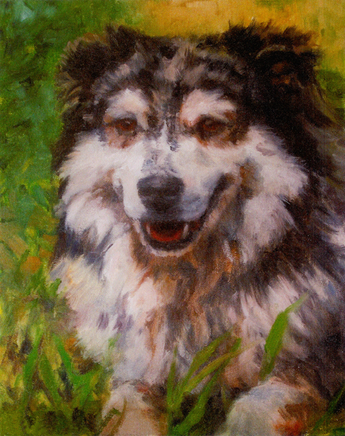 Fine Art Pet Dog Portrait