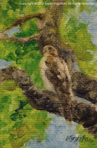 Wildlife Hawk Fine Art Oil Painting