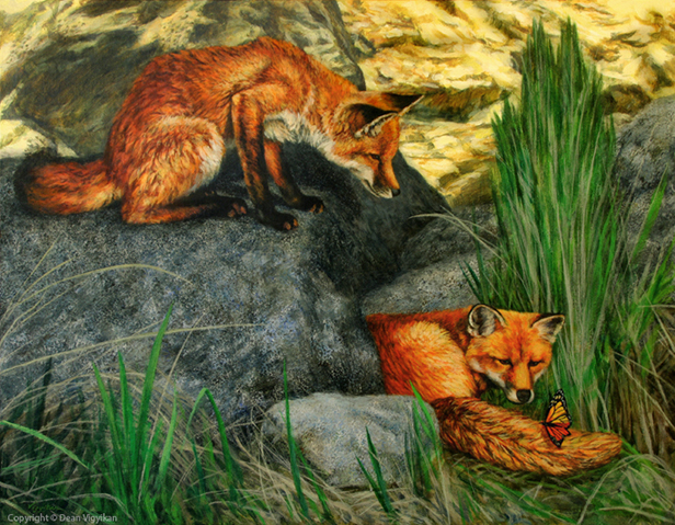 fox, butterfly, wildlife, acrylic, painting, outdoor, mountains, rocks, nature