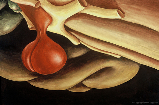 brain, base, optic nerve, chasm, medical, illustration