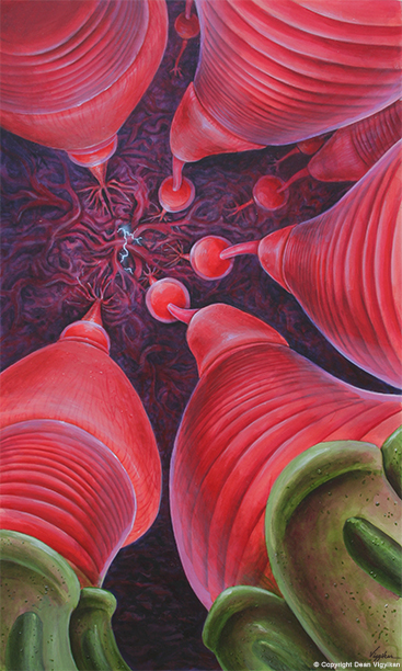 retina, eye, synapse, cells, biology, histology